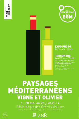 Paysages méditerranéens, vigne et olivier / 20 mai – 26 juin